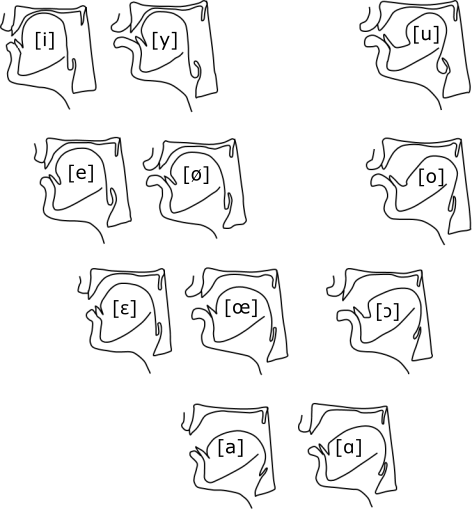 La figure montre différentes configuration buccales pour produire les voyelles orales du français et la figure suivante montre les résonances acoustiques correspondant à chaque voyelle. 