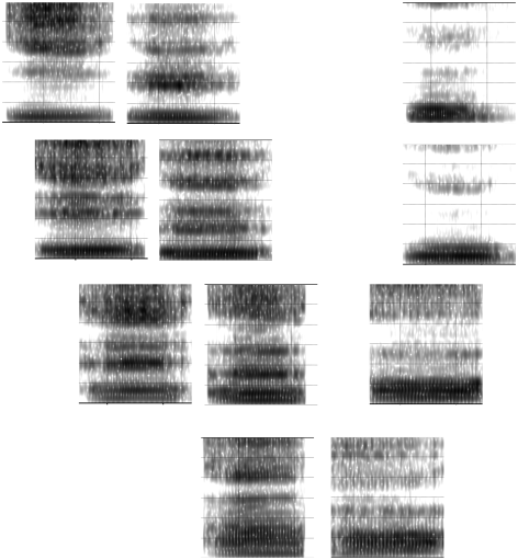 La figure précédente montre différentes configuration buccales pour produire les voyelles orales du français et cette figure  montre les résonances acoustiques correspondant à chaque voyelle. 